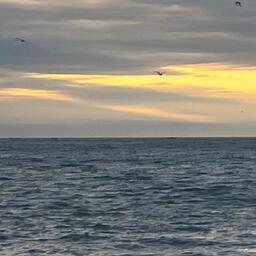 Исландия и Фарерские острова договорились временно продлить действующее соглашение о рыболовстве и ускорить подготовку переговоров по условиям на 2027 г.