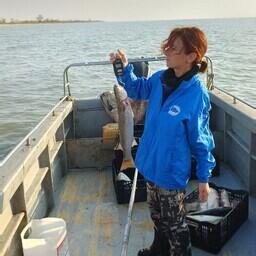 Запасы пиленгаса в Азовском море исследуют ученые ВНИРО. Фото пресс-службы АзНИИРХ