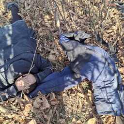 Наказанием за незаконный промысел стали условные сроки и крупный штраф. Фото пресс-службы нацпарка «Земля леопарда»