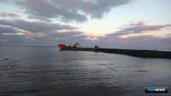 Началась откачка мазута с танкера «Надежда». Фото пресс-службы ГУ МЧС по Сахалинской области.
