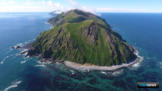 Остров Медный. Фото Дениса Гаева