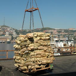 Продолжается регистрация российских экспортеров рыбо- и морепродукции в КНР в системе CIFER