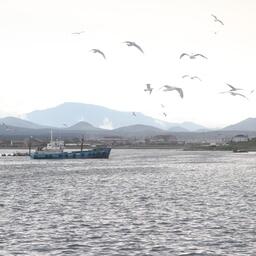 Инвестиции в развитие Курил власти рассчитывают привлечь с помощью налоговых льгот