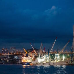 Владморрыбпорт переваливает лососевые уловы круглосуточно. Фото пресс-службы компании