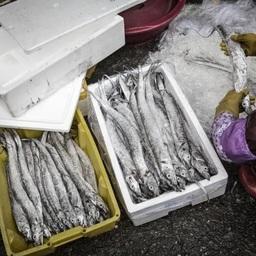 В китайском Даляне проверки мороженой продукции на коронавирус привели к очередям из рефконтейнеров и изменению логистики перевозок. Фото «Аль-Джазира»