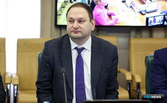 Сенаторам рассказали о подходах при создании ДРУК