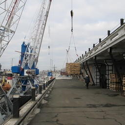 НЦБРП открыл горячую линию для содействия рыбному экспорту