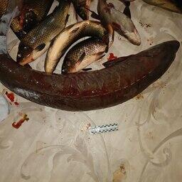 Вес ценной рыбы составил 22 кг. Фото пресс-службы регионального МВД