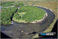 На Камчатке оценили численность лососевых с воздуха. Иллюстрация с сайта КамчатНИРО
