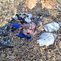 У браконьеров изъяли водолазное снаряжение и два мешка живого трепанга. Фото пресс-службы нацпарка «Земля леопарда»