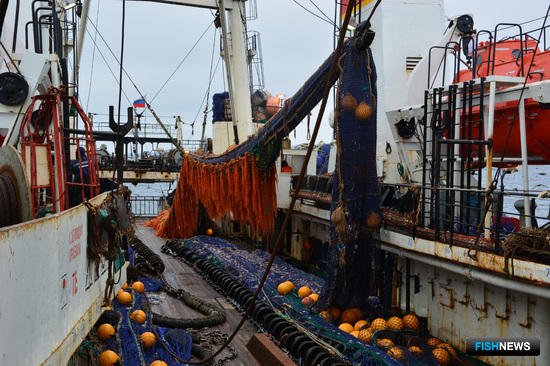 Суда «Океанрыбфлота» добыли уже почти 16 тыс. тонн кальмара на Северных Курилах. Фото пресс-службы компании