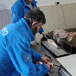 Ученые работают с образцами уловов. Фото пресс-службы ВНИРО