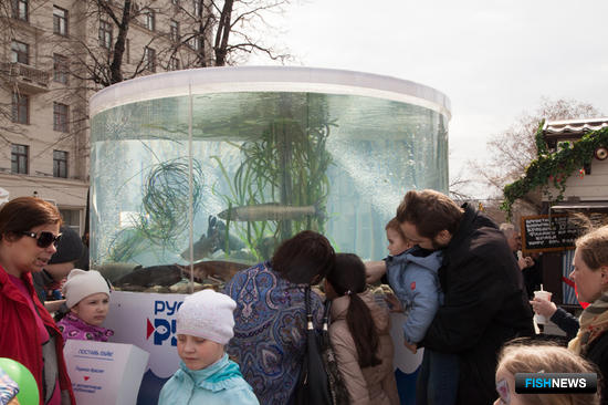 С 22 по 28 апреля в российской столице прошел фестиваль «Рыбная неделя»