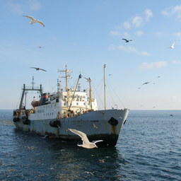 Рыбаки включились в реформу КНД