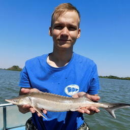 ВНИРО проводит комплексную Донскую экспедицию по изучению условий восстановления численности осетровых. Фото пресс-службы института