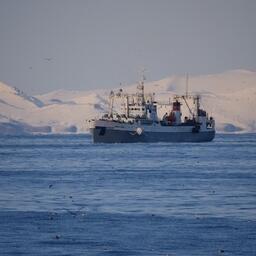 Рыбный промысел на Дальнем Востоке. Фото предоставлено «Океанрыбфлотом»