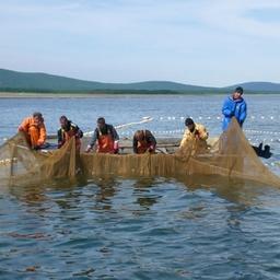 Промысел лосося в Приморском крае