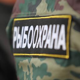 Минсельхоз и Росрыболовство подготовили проект постановления, определяющего правовой статус государственной информационной системы «Рыбоохрана»