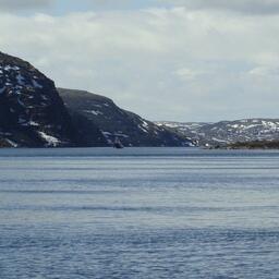 Росрыболовство выпустило приказ, согласно которому не должна осуществляться выдача разрешений на вылов трем компаниям Мурманской области