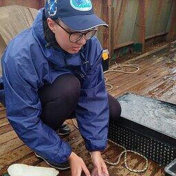 Специалисты АзНИИРХ исследуют медуз и гребневиков в Азово-Черноморском бассейне. Фото пресс-службы филиала
