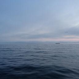 Договор об открытом море вступит в силу в январе будущего года