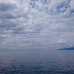 Ученые исследуют возможности применения имплантов для биологического мониторинга на рачках-бокоплавах Байкала. Архивное фото