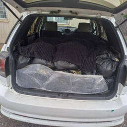 Мешки с рыбой обнаружили в багажнике машины. Фото пресс-службы МВД по Республике Бурятия