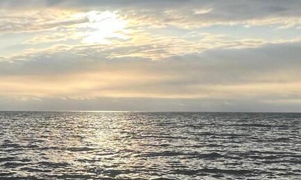 Рассмотрение дел об иностранном контроле в рыболовстве продолжается