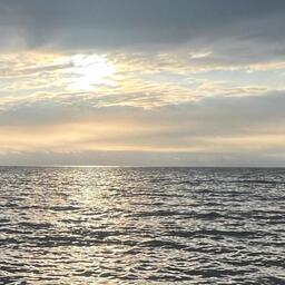 Рассмотрение дел об иностранном контроле в рыболовстве продолжается