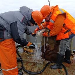 Взятие проб. Фото пресс-службы ПИНРО