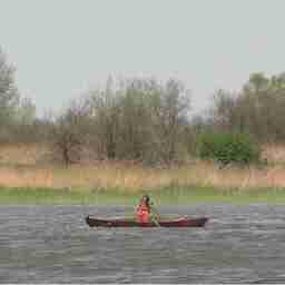 По итогам рейдов возбуждено 49 уголовных дел по фактам браконьерства. Кадр оперативной съемки