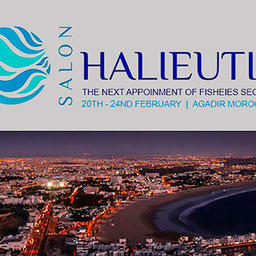 Пятый международный рыбопромышленный салон Halieutis пройдет в марокканском Агадире. Фото с сайта Expo Solutions Group
