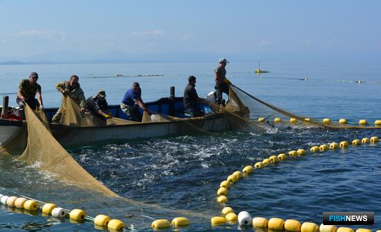 Важна сама сумма: участники опроса Fishnews высказались по теме рыболовных участков