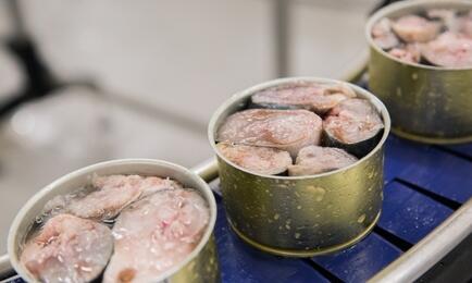 Евразийская экономическая комиссия готовит изменения в Таможенный кодекс ЕАЭС, регламентирующие ввоз рыбы, рыбной и другой продукции из уловов. Архивное фото