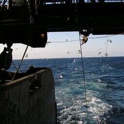 Рыбный промысел на Дальнем Востоке. Архивное фото