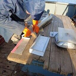 Ученый измеряет пойманную рыбу. Фото пресс-службы АзНИИРХ