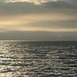 Евросоюз пытается спасти рыболовное соглашение с Марокко