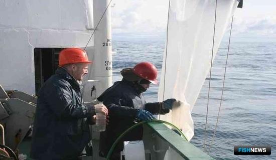 Отбор проб фито- и зоопланктона. Фото пресс-службы АзНИИРХ