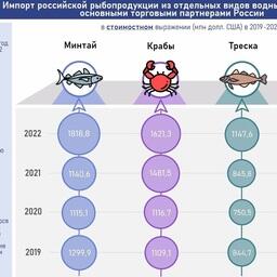 Импорт отдельных видов российской рыбо- и морепродукции